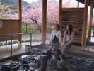 河津の足湯処