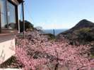 玄関からの景色