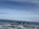 当館から車で3分の今井浜海岸