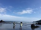 当館から車で3分の今井浜海岸