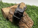 【世界のカブトムシ・クワガタ館】アルキデスヒラタクワガタ