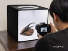 【世界のカブトムシ・クワガタ館】専用撮影Boxでお好きなカブトムシを撮影できます!