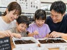 【世界のカブトムシ・クワガタ館】人気の幼虫や卵の割り出し体験♪
