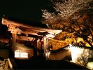 �O�䎛�t�̃��C�g�A�b�v