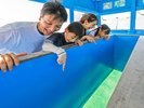 海人が案内するグラスボート