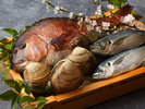 目利きが選び抜いた旬の魚介。その時期でしか味わえない味を大切に、一皿ずつ丁寧に仕立てています。