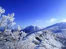 冬の久住山　樹氷と青空の美しいコントラスト。