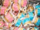 朝食ビュッフェ(シューアイス)