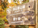 弥山への大元公園ルートは当館から直ぐ!