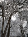 冬は戸締めされている温泉寺への参道。不思議な雪の世界へのお誘い。