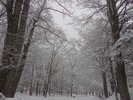 この木々に咲いた雪の華を見ていただけたらと思います。冬季限定です!