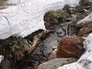 建物への小路 小さな小川が流れています。山からの清流 そのせせらぎに癒されます。