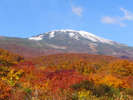 *紅葉の見頃は例年10月中旬〜下旬/薄っすら雪化粧した鳥海山と紅葉を望む、この時期ならではの景観。