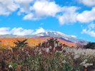 *ススキと鳳来山の紅葉を背景に冠雪した鳥海山