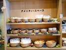2階アメニティコーナー(客室内にはアメニティ類のご準備はございません)