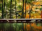 �O���[�v���فE������g�˒��@�����̓��@�������i�g�t�C���[�W�j