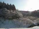 丸山大橋の冬景色