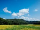小谷山