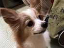 ご夕食はゆっくり♪お部屋食