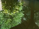 露天風呂〈新緑〉