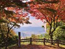 小谷城の紅葉