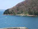カタクリ祭:湯の島への船が行き交います。