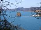 東北大学臨海実験所前の海上に浮かぶ裸島には悲しい伝説があるのです・・・