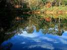 【秋】池面に映る空と紅葉は見事!