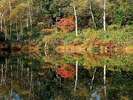 【秋】志賀高原一沼。湖面に映る紅葉がきれいです。