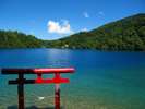 【夏】澄み切ったエメラルドグリーンの大沼池