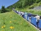 【夏】横手山パノラマコース。山頂からの北アルプスの眺めは絶景