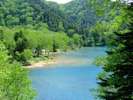 【夏】大沼池。浅瀬は底が透き通って見えます