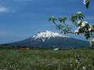◆晴れた日の岩木山※イメージ