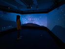 【天空の楽園 ナイトツアー】180°シアタールーム