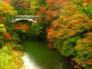 黒谷橋(紅葉イメージ)