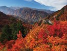 白山白川郷ホワイトロード片道無料キャンペーン開催(2027年6月12日〜11月10日 ※予定)