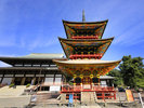 【周辺観光】成田山新勝寺