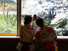 お茶室「無量庵」にて春の訪れを愉しむ