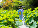 夏の静寂に包まれた別世界。