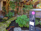 歴史を感じる展示物