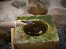 【館内|園庭茶室】細部までこだわり抜いた和の意匠。水のきらめきが、園庭に瑞々しい生命力を与えます。