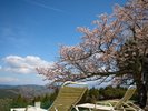 【外観】空の青と芝生の緑に包まれて。日常の喧騒を離れ、自然との一体感を楽しめるロケーションです。