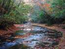 【紅葉スポット】岳切渓谷(宇佐市)