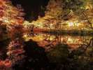 【紅葉スポット】宝生寺(豊後大野市)