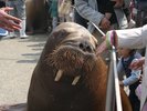 水族館「うみたまご」