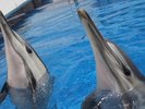 水族館「うみたまご」