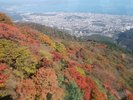 「別府ロープウェイ秋景色」