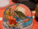 化学反応を学ぶふしぎなスノードーム実験(7/25) @19:00〜A20:00〜※有料