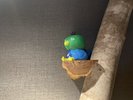 ◆13Fにはドーミーインコが隠れております。ご宿泊の際はぜひお探しください。