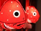 ◆金魚ねぶた